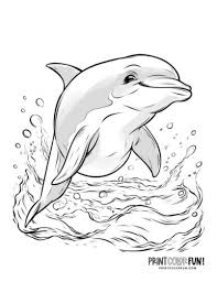 33 Coloring Dolphin Pictures