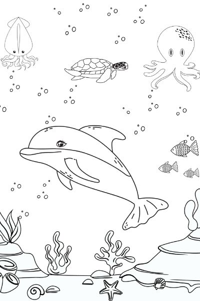 33 Coloring Dolphin