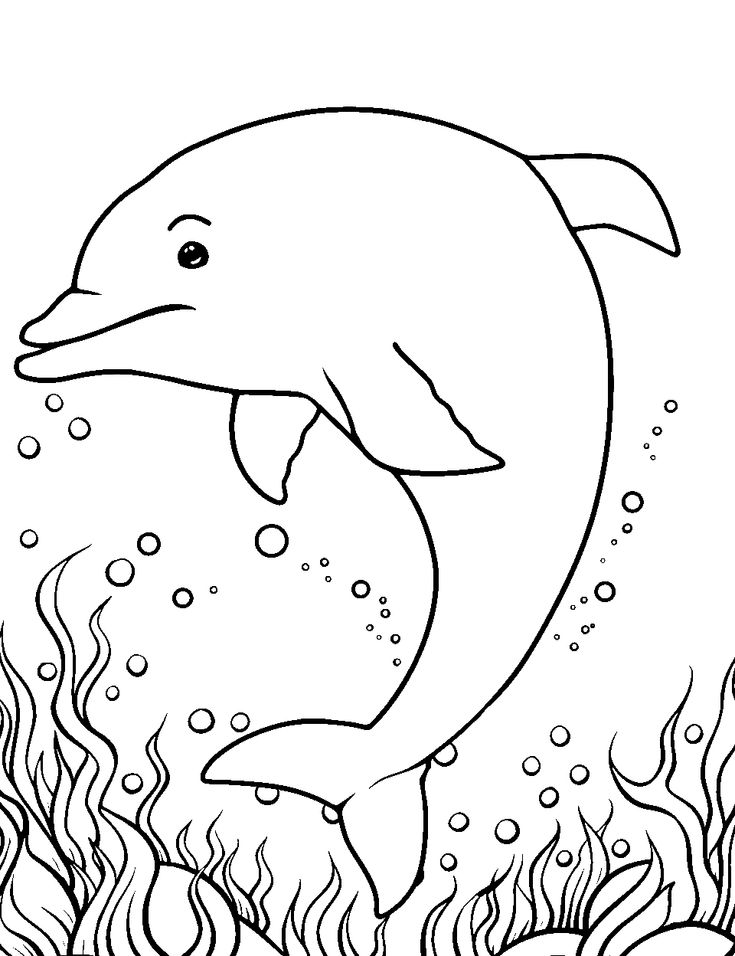 33 Coloring Page Of A Dolphin