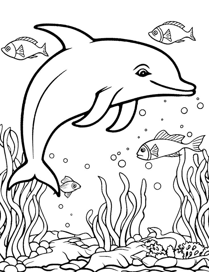 33 Coloring Page Of Dolphin