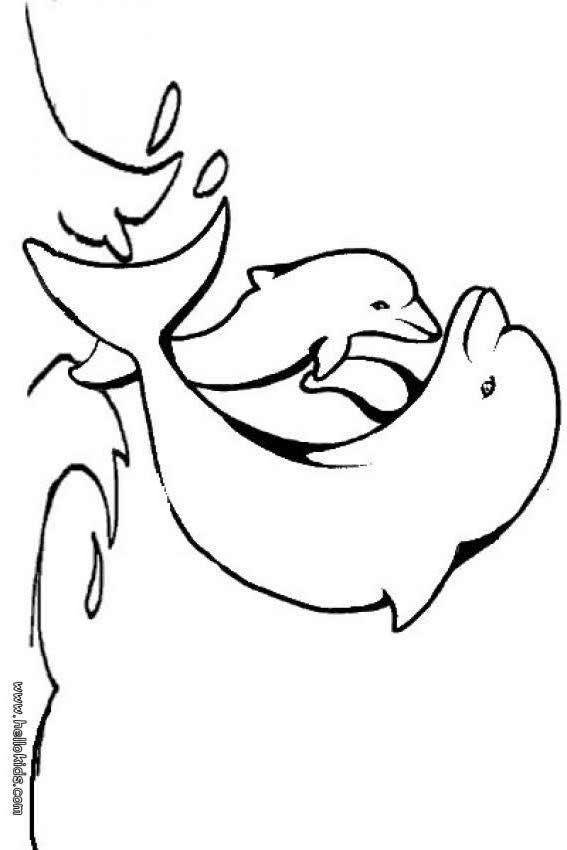 33 Coloring Pages Dolphin