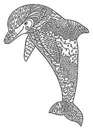 33 Coloring Pages Dolphins Nfl