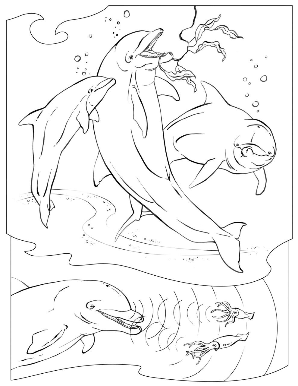 33 Coloring Pages Of Dolphin