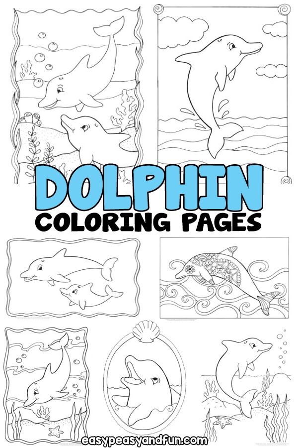 33 Coloring Pages Of Dolphins