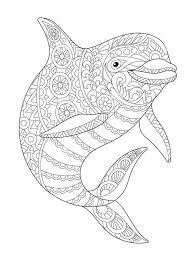 33 Coloring Pages Printable Dolphin