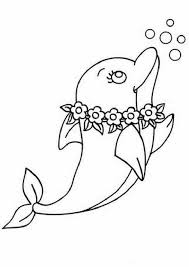 33 Coloring Picture Dolphin