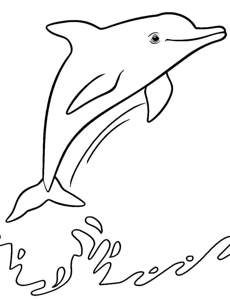 33 Coloring Picture Of A Dolphin