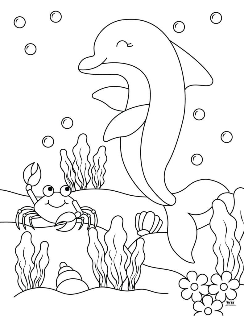 33 Coloring Pictures Dolphin