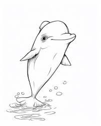 33 Coloring Sheets Dolphins