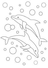 33 Colouring In Dolphin