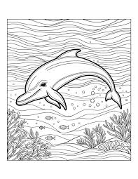 33 Colouring Pictures Of Dolphins