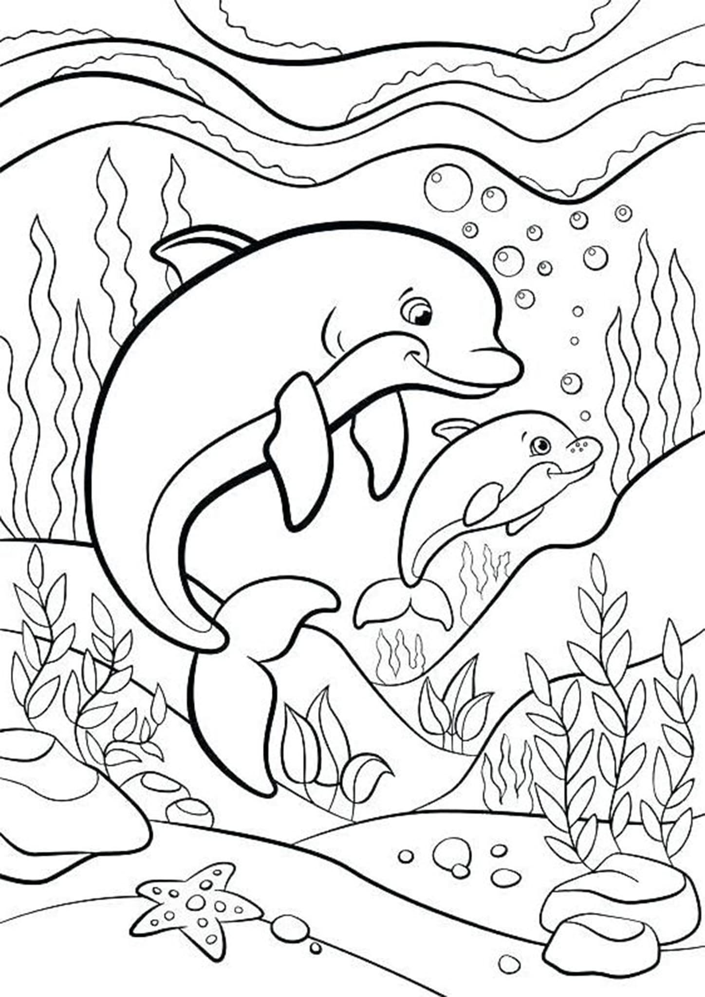 33 Detailed Dolphin Coloring Pages