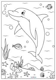 33 Dolphin Adult Coloring Page