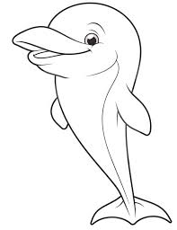 33 Dolphin Adult Coloring