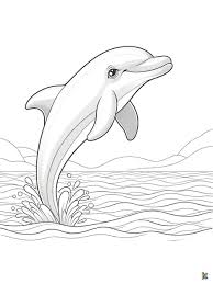 33 Dolphin And Turtle Coloring Pages