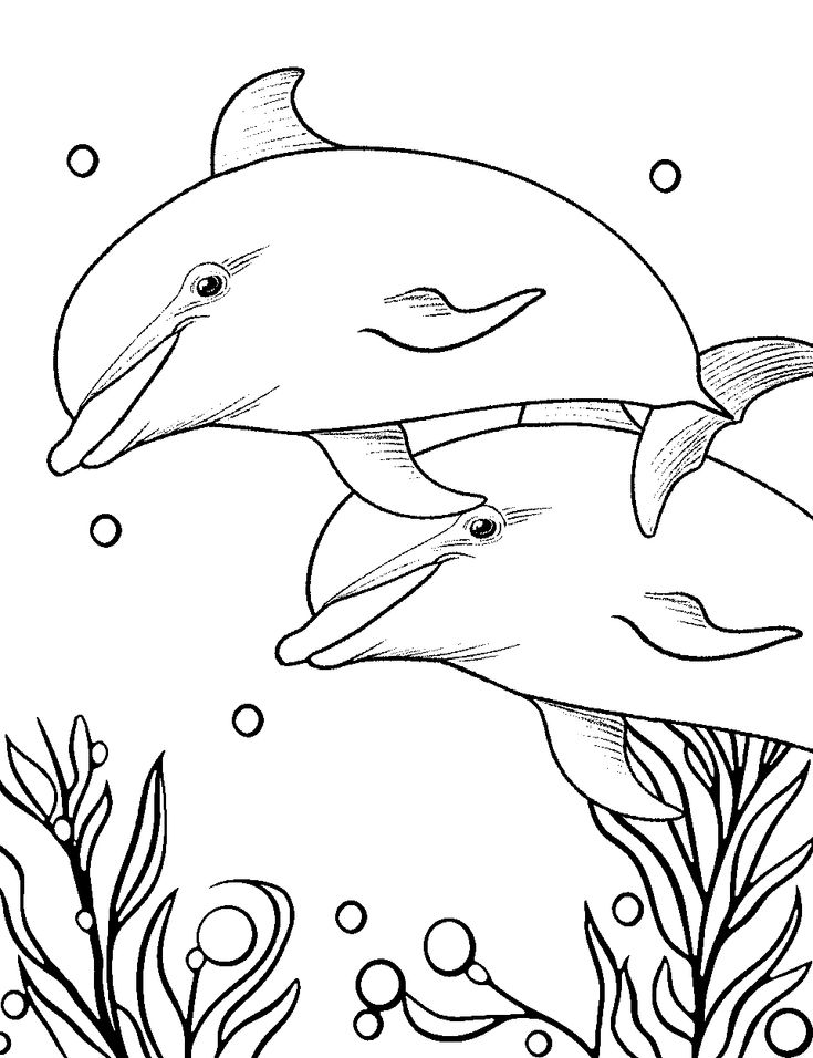 33 Dolphin Coloring Book Pages