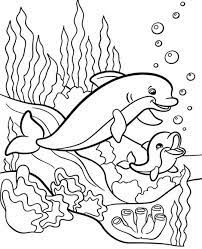 33 Dolphin Coloring Images