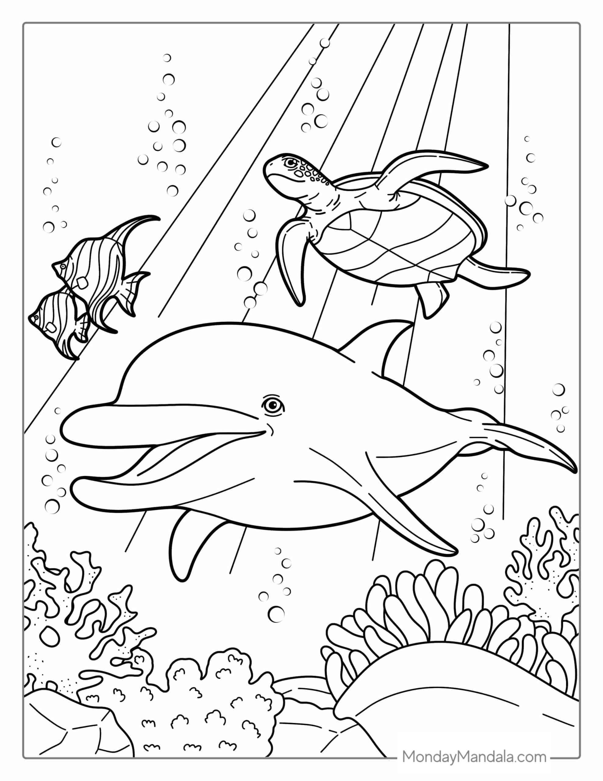 33 Dolphin Coloring Page