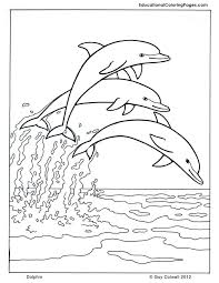 33 Dolphin Coloring Pages Printable Pdf