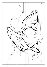 33 Dolphin Coloring Pages Printable