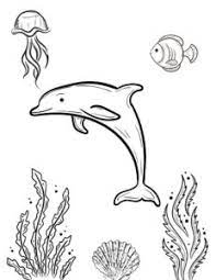 33 Dolphin Coloring Pages Realistic