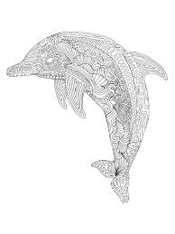 33 Dolphin Coloring Pages To Print Out