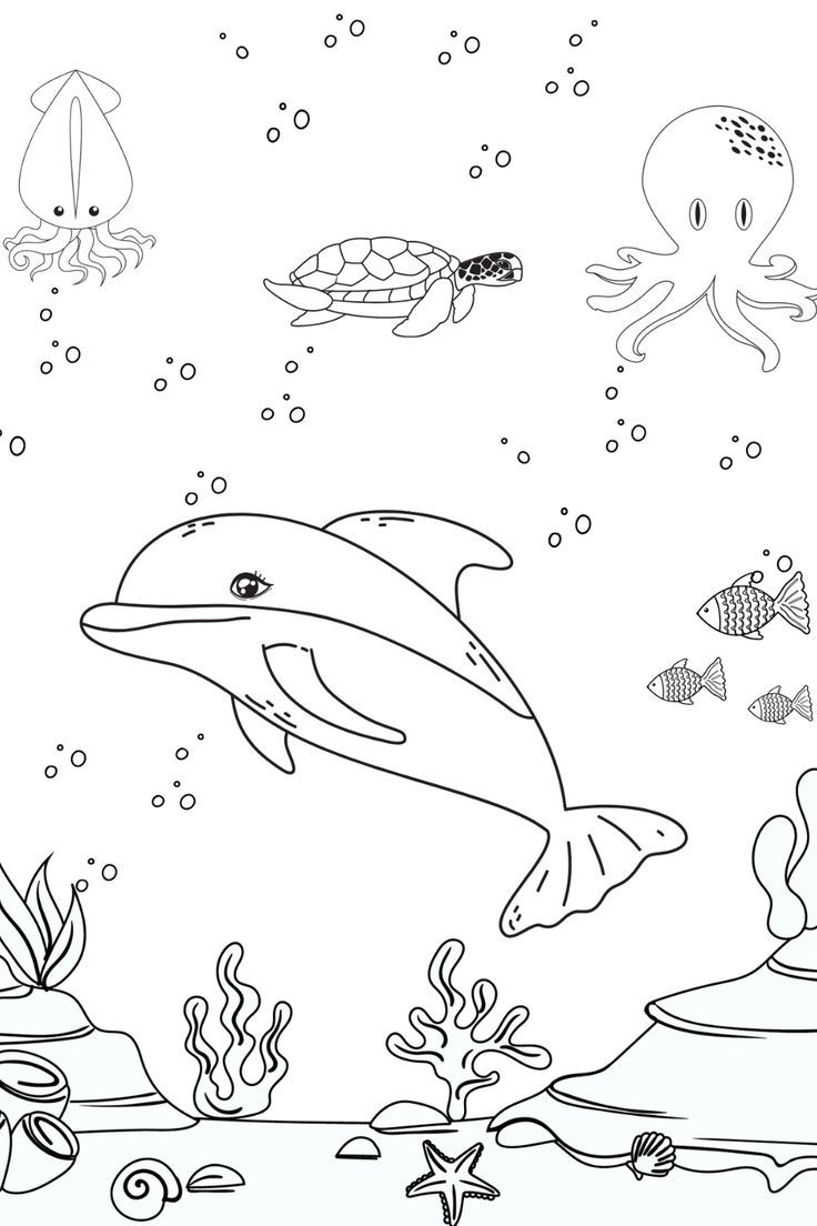 33 Dolphin Coloring Pages