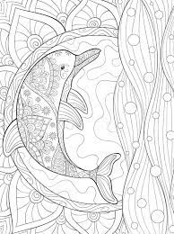 33 Dolphin Coloring Picture