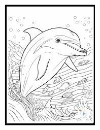 33 Dolphin Colouring In Pictures