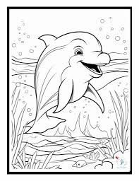 33 Dolphin Colouring Sheet