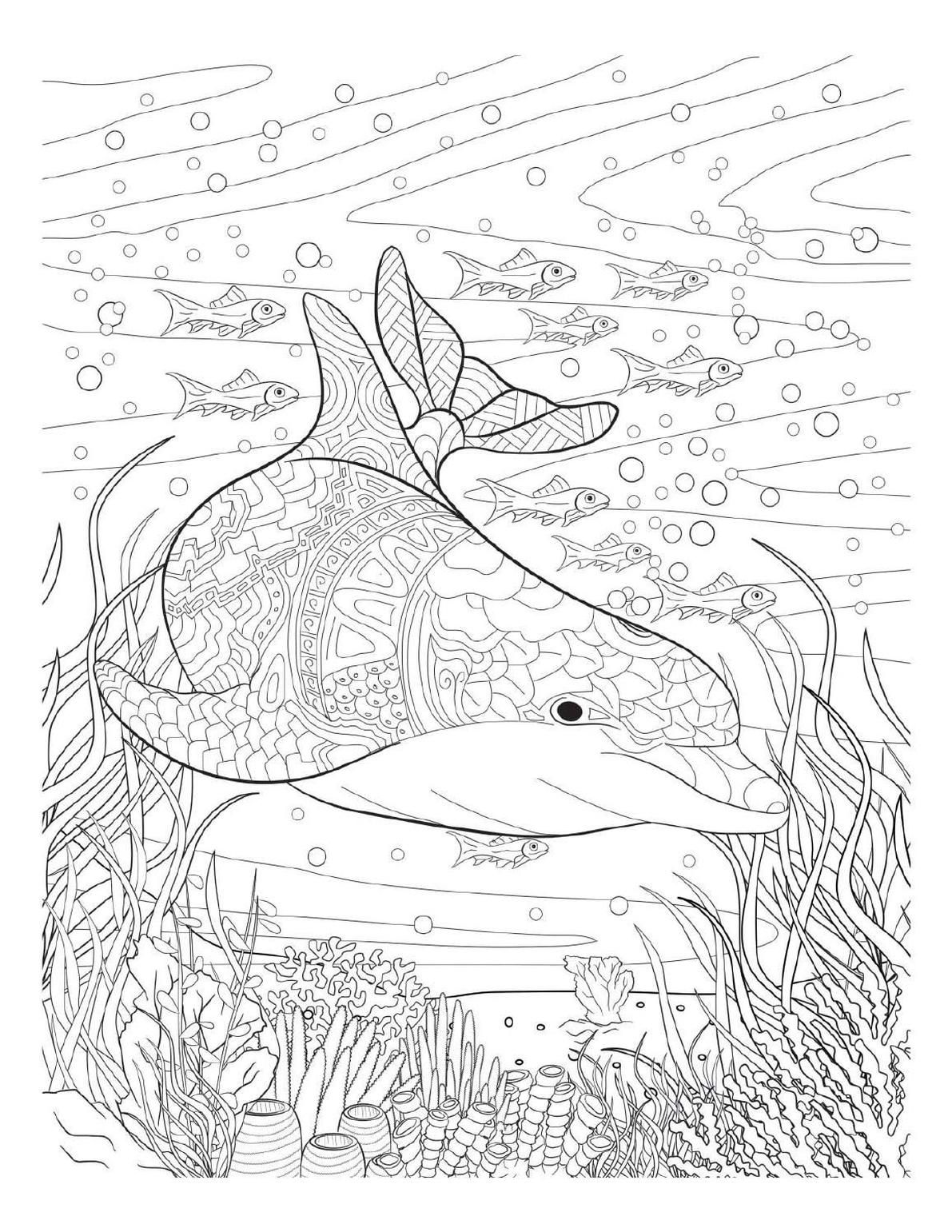 33 Dolphin Colouring