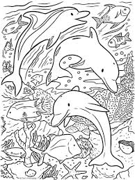 33 Dolphin Sunset Coloring Pages