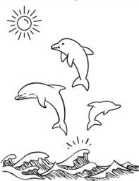 33 Dolphins Coloring Pages For Adults