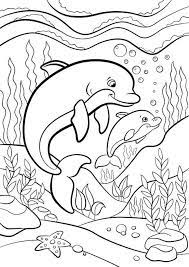 33 Dolphins Coloring Pages Free