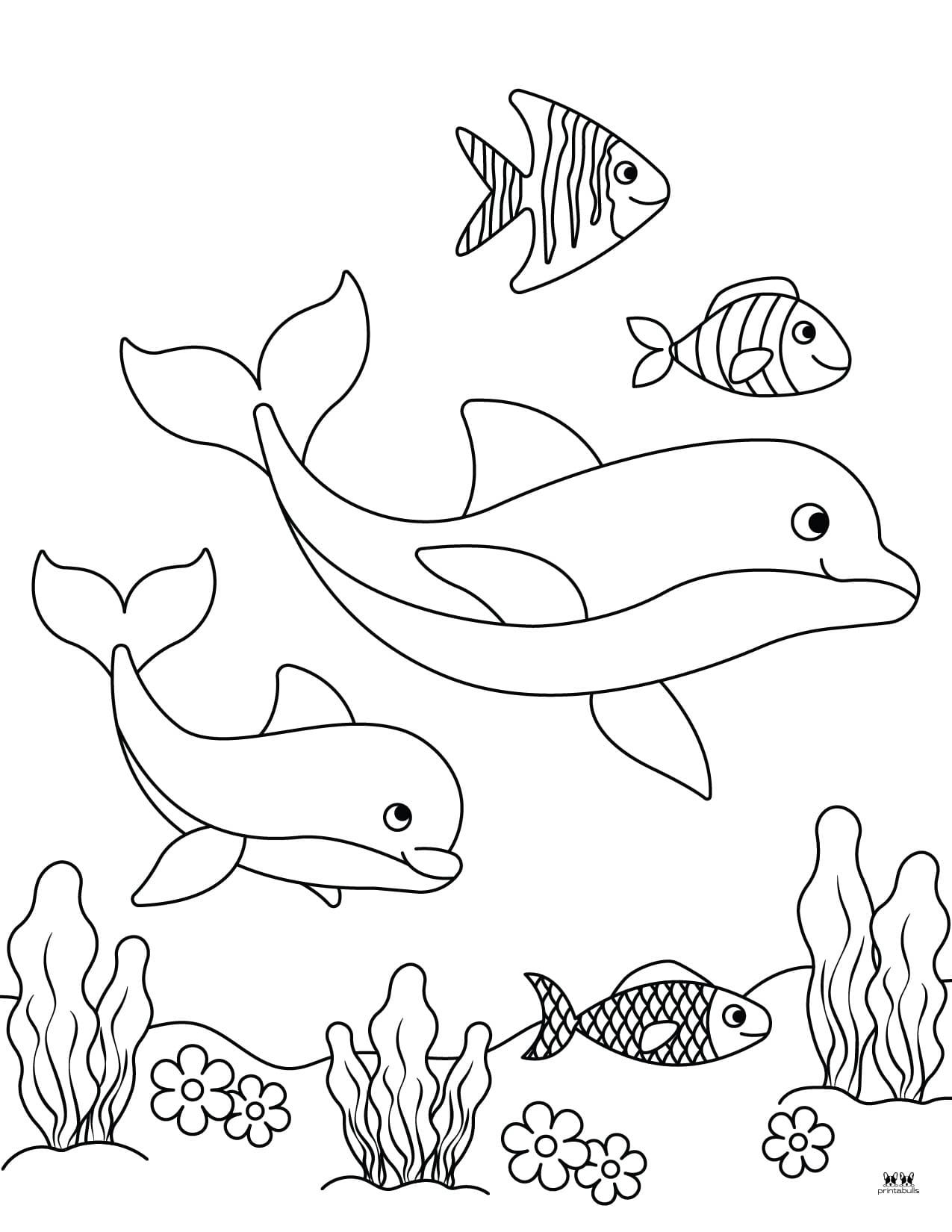 33 Dolphins Coloring Sheets