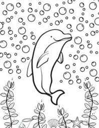 33 Dolphins To Colour In