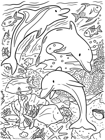 33 Free Coloring Pages Dolphins