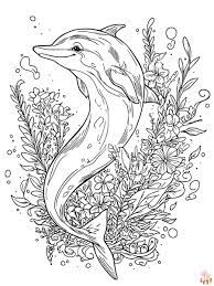 33 Free Coloring Pages Mermaid And Dolphin