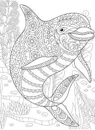 33 Free Dolphin Coloring Pages To Print