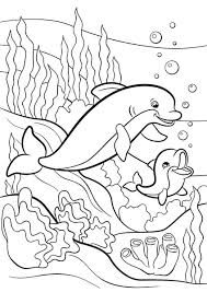 33 Free Printable Coloring Pages Of Dolphins