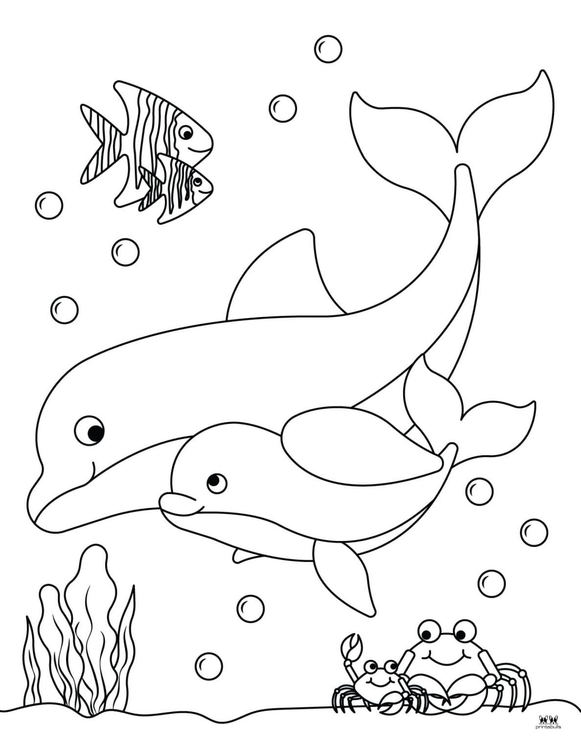 33 Free Printable Dolphin Coloring Pages
