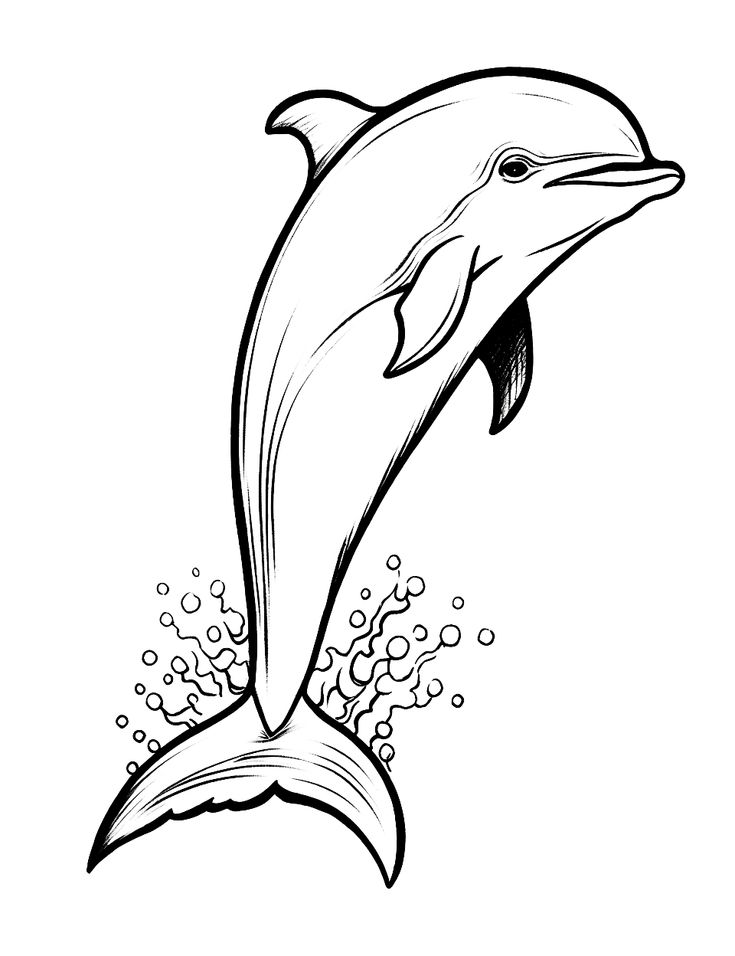 33 Free Printable Dolphin Coloring Sheets