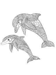 33 Hard Dolphin Coloring Pages