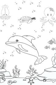 33 Miami Dolphin Coloring Pages