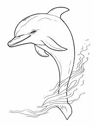 33 Pictures Of Dolphins To Color