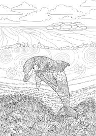 33 Print Dolphin Coloring Pages