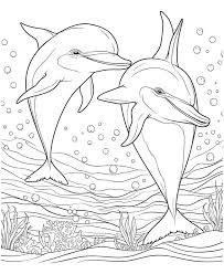 33 Sea World Coloring Sheets