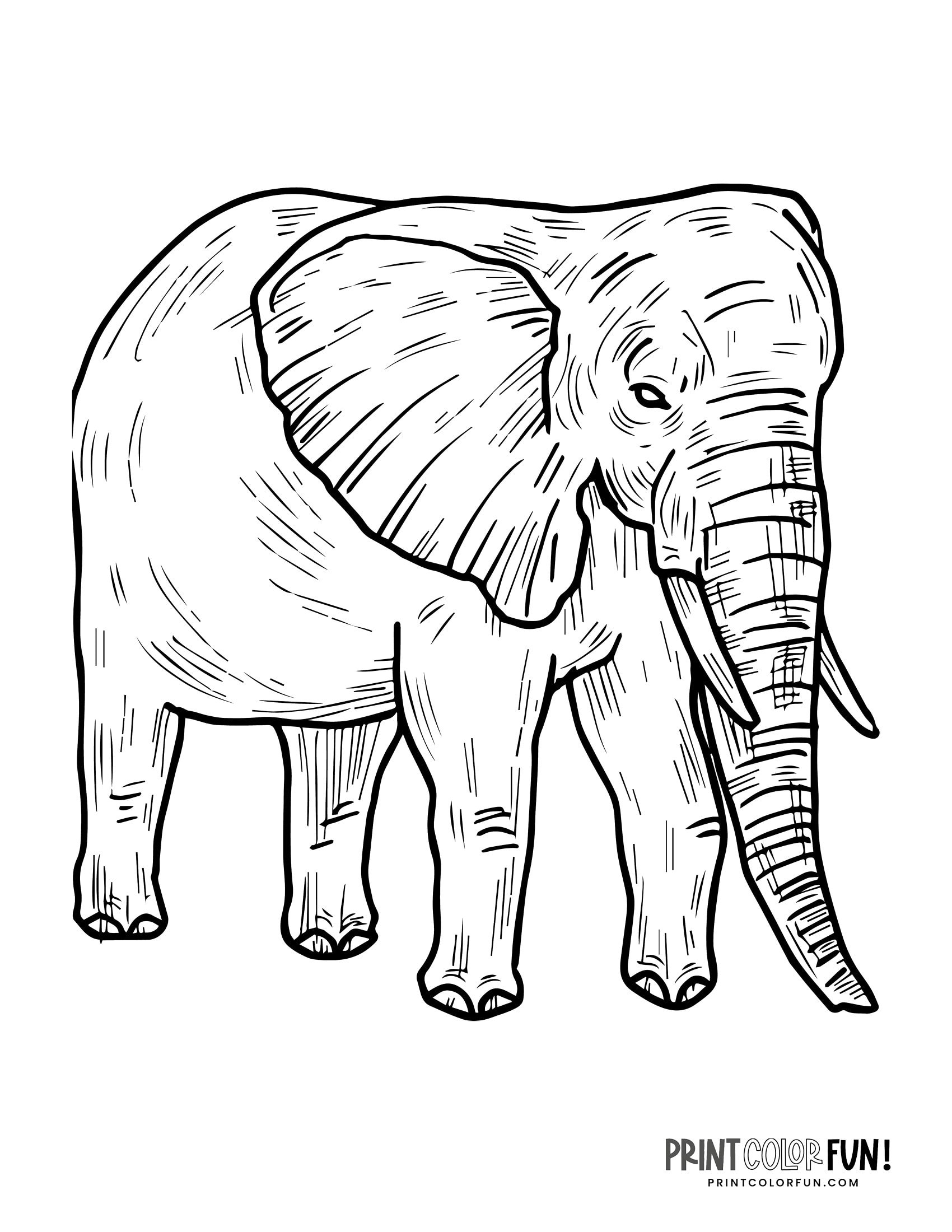 Baby Elephant Coloring Pages Free Printable 102