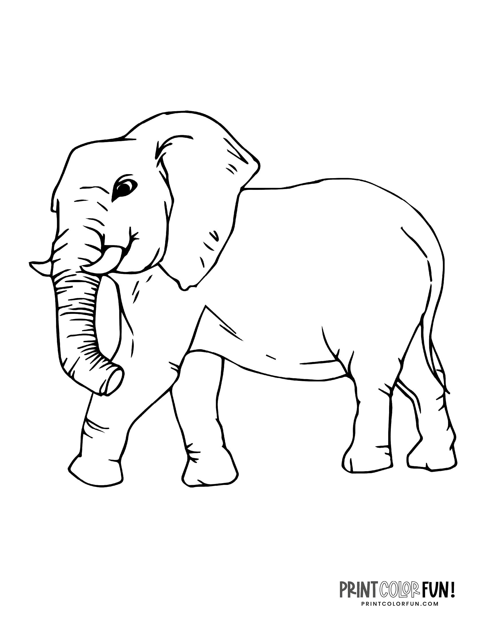 Baby Elephant Coloring Pages Free Printable 107