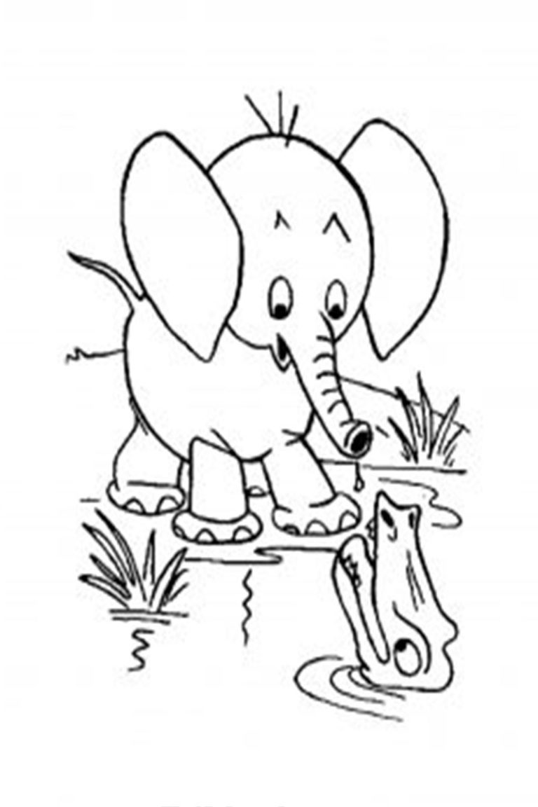 Baby Elephant Coloring Pages Free Printable 119